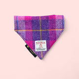 Harris Tweed Dog Bandana by Tartan Terrors Caledonia Lifestyle Peebles