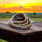 Harris Tweed - Dog Leads by Tartan Terrors - Caledonia Lifestyle Peebles